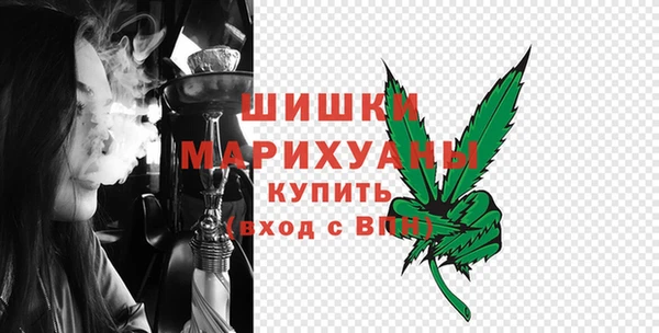 хмурый Рославль