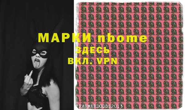 хмурый Рославль