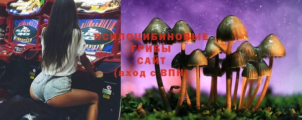 хмурый Рославль
