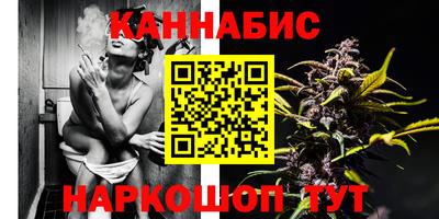 МДПВ Гатчина
