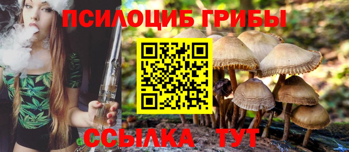 Псилоцибиновые грибы прущие грибы Стрежевой