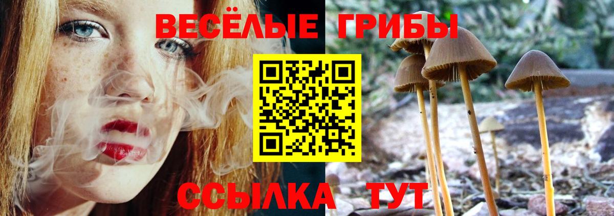 Псилоцибиновые грибы Cubensis Стрежевой