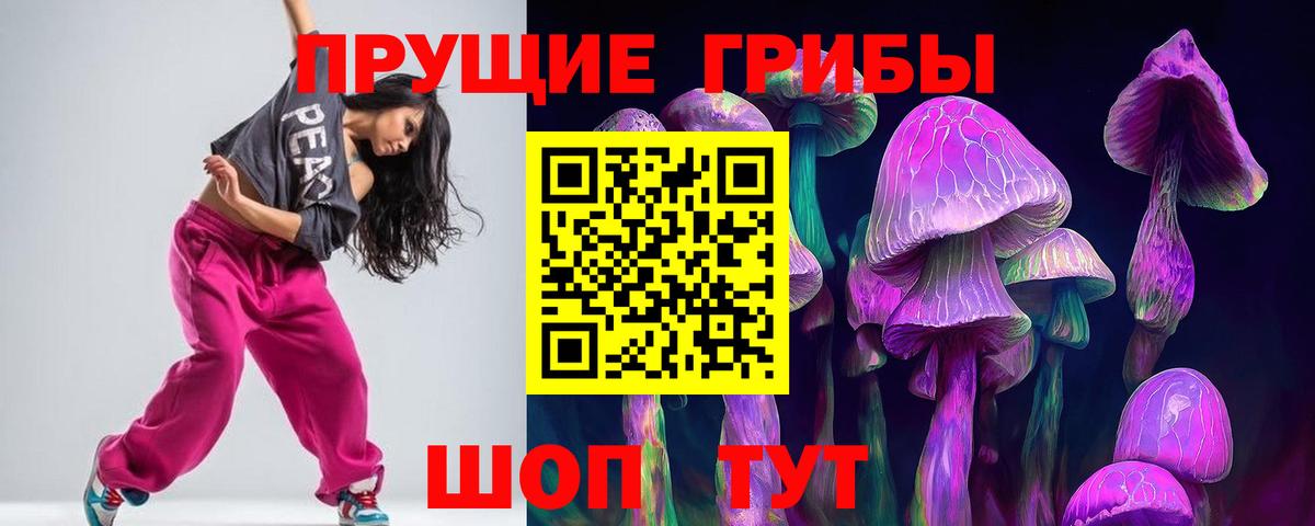 Стрежевой  Галлюциногенные грибы Psilocybine cubensis  Вход с VPN 
