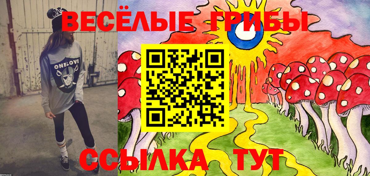 Псилоцибиновые грибы Psilocybe  где купить   Псилоцибиновые грибы MAGIC MUSHROOMS  Стрежевой 